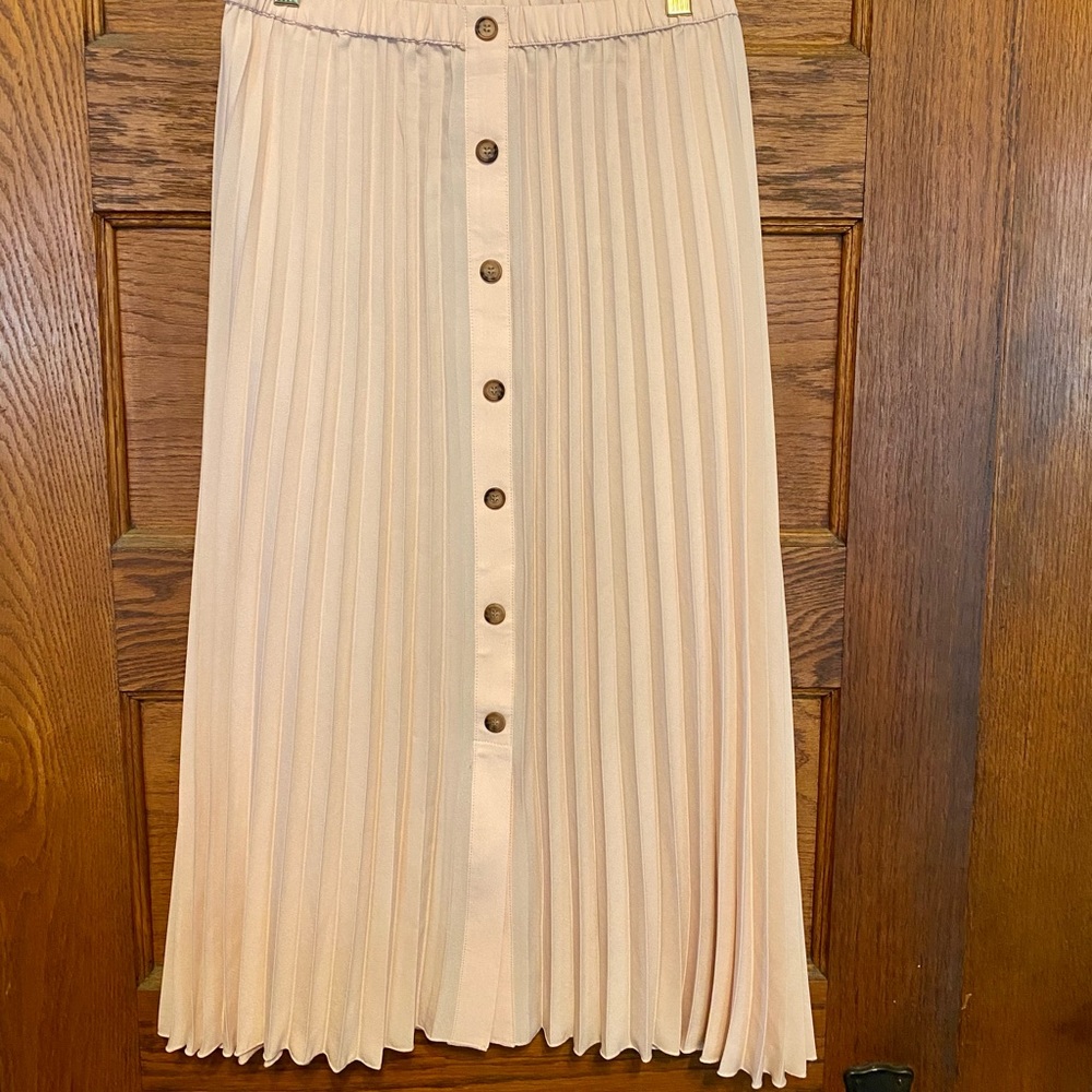 NWOT H&M Pink Pleated Midi with faux button front